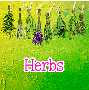 Herbs herbs menu